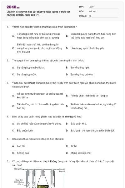 Chuyên đề chuyển hóa vật chất và năng lượng ở thực vật mức độ cơ bản, nâng cao (P1)