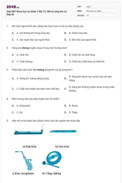 Giải SBT Khoa học tự nhiên 7 Bài 12. Mô tả sóng âm có đáp án