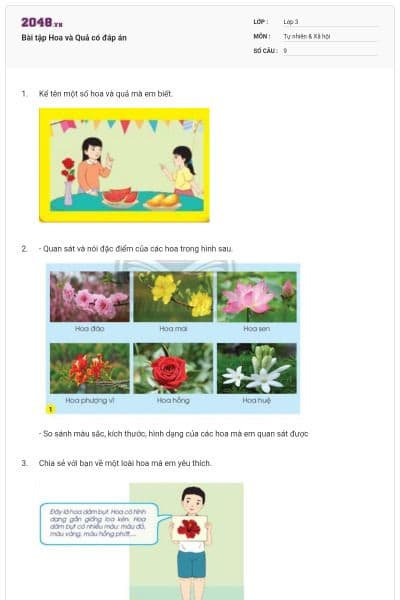 Bài tập Hoa và Quả có đáp án