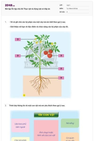 Bài tập Ôn tập chủ đề Thực vật và động vật có đáp án