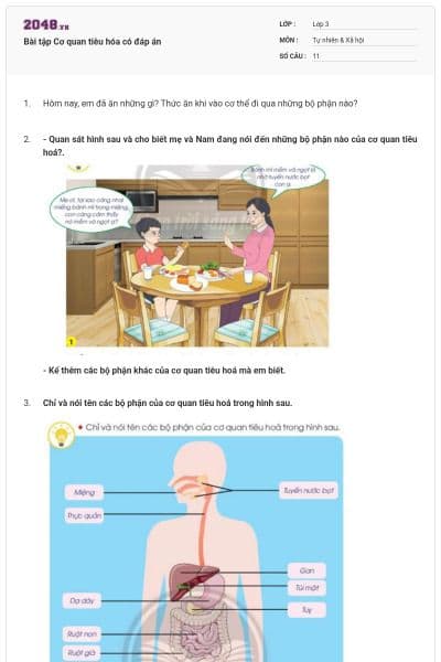 Bài tập Cơ quan tiêu hóa có đáp án