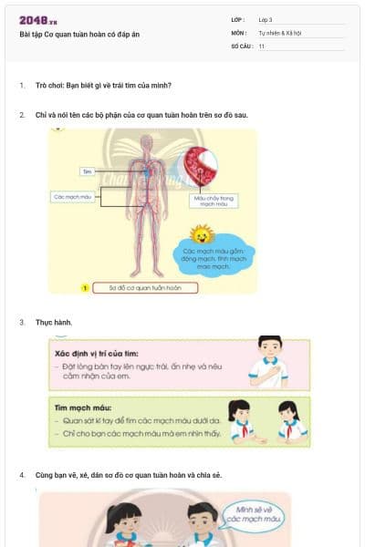 Bài tập Cơ quan tuần hoàn có đáp án