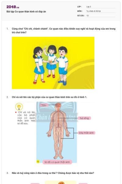 Bài tập Cơ quan thần kinh có đáp án