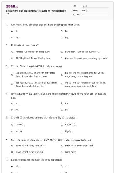 Đề kiểm tra giữa học kì 2 Hóa 12 có đáp án (Mới nhất) (Đề 18)