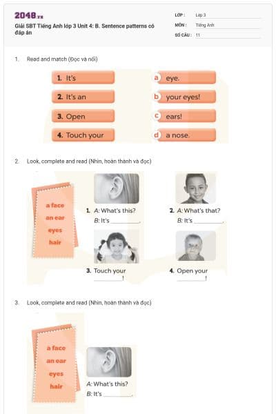 Giải SBT Tiếng Anh lớp 3 Unit 4: B. Sentence patterns có đáp án