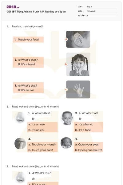 Giải SBT Tiếng Anh lớp 3 Unit 4: D. Reading có đáp án