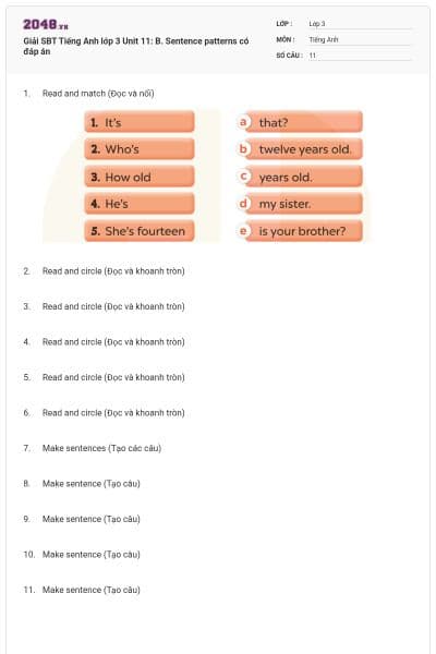 Giải SBT Tiếng Anh lớp 3 Unit 11: B. Sentence patterns có đáp án