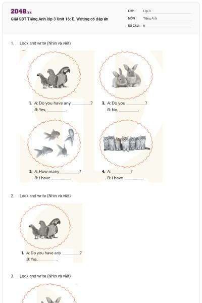 Giải SBT Tiếng Anh lớp 3 Unit 16: E. Writing có đáp án