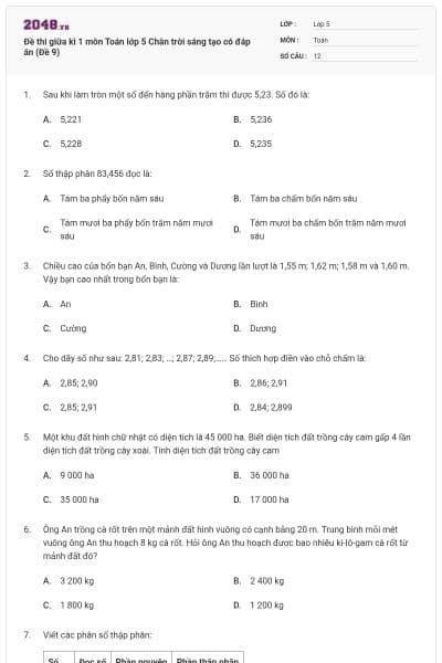 Đề thi giữa kì 1 môn Toán lớp 5 Chân trời sáng tạo có đáp án (Đề 9)