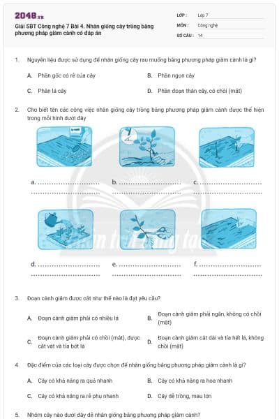 Giải SBT Công nghệ 7 Bài 4. Nhân giống cây trồng bằng phương pháp giâm cành có đáp án