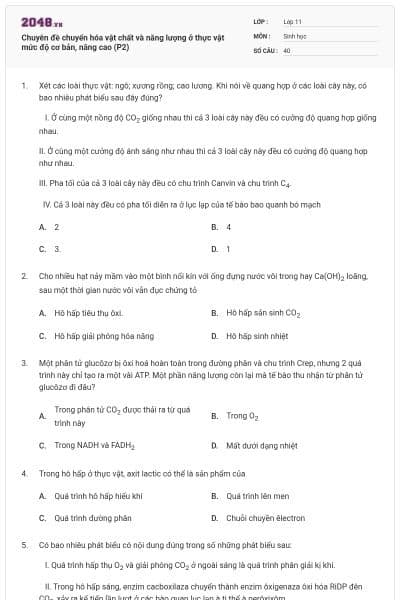 Chuyên đề chuyển hóa vật chất và năng lượng ở thực vật mức độ cơ bản, nâng cao (P2)