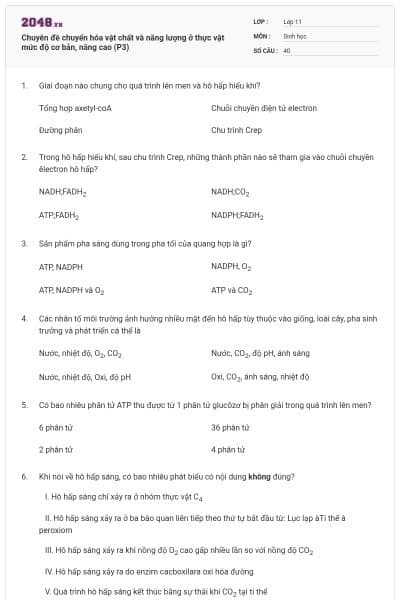 Chuyên đề chuyển hóa vật chất và năng lượng ở thực vật mức độ cơ bản, nâng cao (P3)