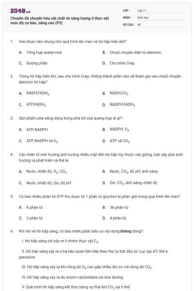 Chuyên đề chuyển hóa vật chất và năng lượng ở thực vật mức độ cơ bản, nâng cao (P3)