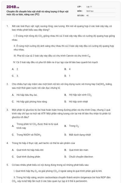 Chuyên đề chuyển hóa vật chất và năng lượng ở thực vật mức độ cơ bản, nâng cao (P2)