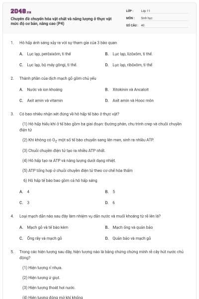 Chuyên đề chuyển hóa vật chất và năng lượng ở thực vật mức độ cơ bản, nâng cao (P4)