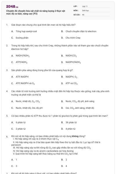 Chuyên đề chuyển hóa vật chất và năng lượng ở thực vật mức độ cơ bản, nâng cao (P3)