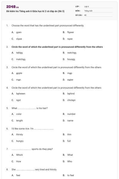 Đề kiểm tra Tiếng anh 6 Giữa học kì 2 có đáp án (Đề 3)