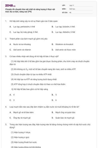 Chuyên đề chuyển hóa vật chất và năng lượng ở thực vật mức độ cơ bản, nâng cao (P4)