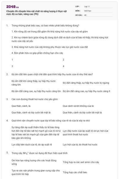 Chuyên đề chuyển hóa vật chất và năng lượng ở thực vật mức độ cơ bản, nâng cao (P6)