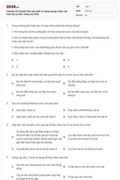 Chuyên đề chuyển hóa vật chất và năng lượng ở thực vật mức độ cơ bản, nâng cao (P6)
