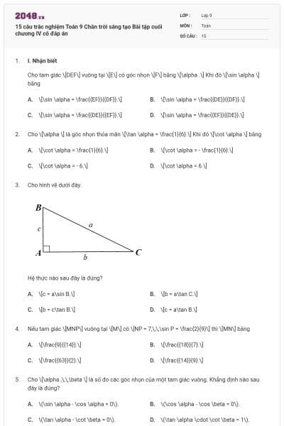 15 câu trắc nghiệm Toán 9 Chân trời sáng tạo Bài tập cuối chương IV có đáp án