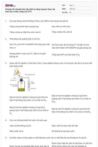 Chuyên đề chuyển hóa vật chất và năng lượng ở thực vật mức độ cơ bản, nâng cao (P7)