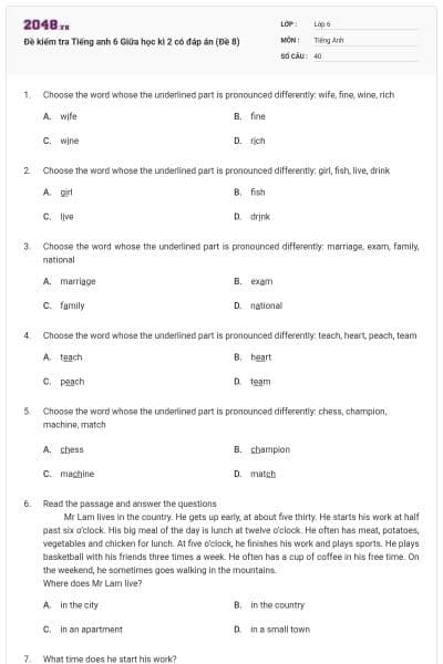 Đề kiểm tra Tiếng anh 6 Giữa học kì 2 có đáp án (Đề 8)