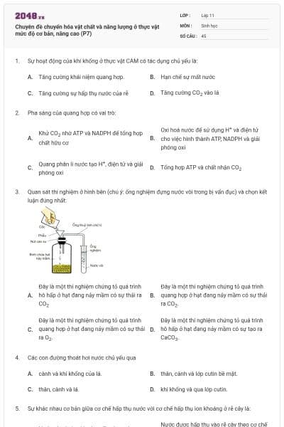 Chuyên đề chuyển hóa vật chất và năng lượng ở thực vật mức độ cơ bản, nâng cao (P7)