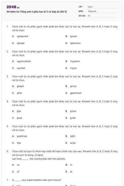 Đề kiểm tra Tiếng anh 6 giữa học kì 2 có đáp án (Đề 9)