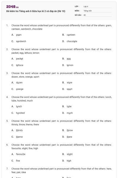 Đề kiểm tra Tiếng anh 6 Giữa học kì 2 có đáp án (Đề 10)