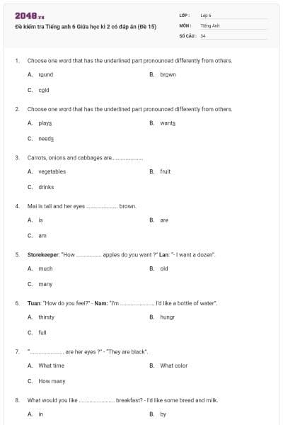 Đề kiểm tra Tiếng anh 6 Giữa học kì 2 có đáp án (Đề 15)
