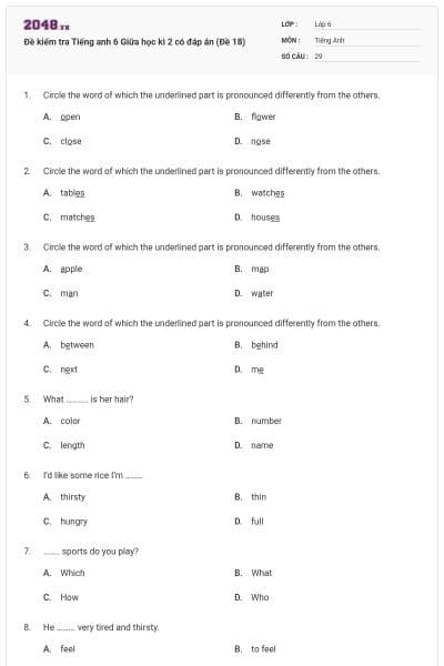 Đề kiểm tra Tiếng anh 6 Giữa học kì 2 có đáp án (Đề 18)