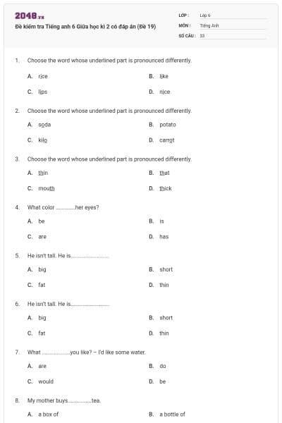 Đề kiểm tra Tiếng anh 6 Giữa học kì 2 có đáp án (Đề 19)