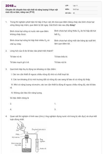Chuyên đề chuyển hóa vật chất và năng lượng ở thực vật mức độ cơ bản, nâng cao (P10)