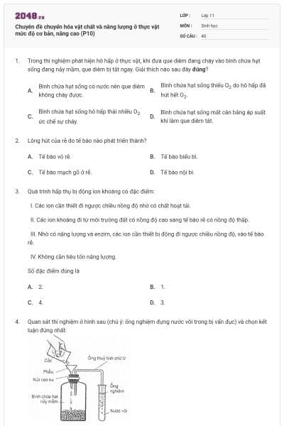 Chuyên đề chuyển hóa vật chất và năng lượng ở thực vật mức độ cơ bản, nâng cao (P10)