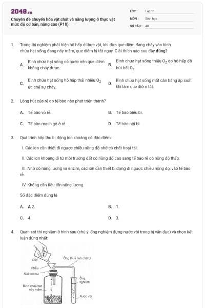 Chuyên đề chuyển hóa vật chất và năng lượng ở thực vật mức độ cơ bản, nâng cao (P10)