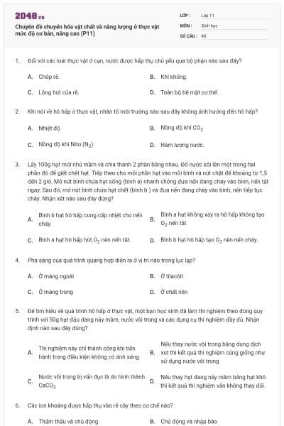 Chuyên đề chuyển hóa vật chất và năng lượng ở thực vật mức độ cơ bản, nâng cao (P11)