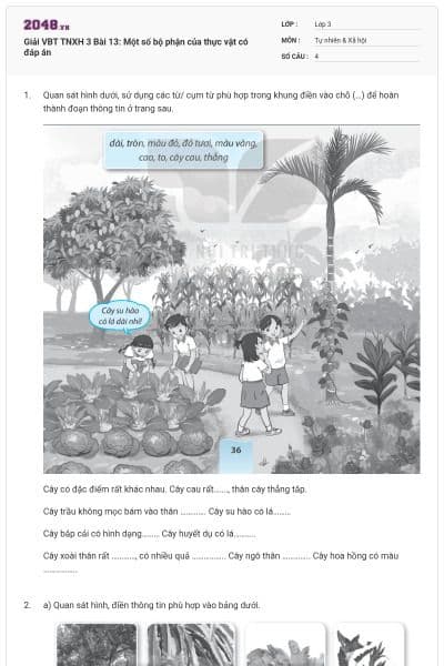 Giải VBT TNXH 3 Bài 13: Một số bộ phận của thực vật có đáp án