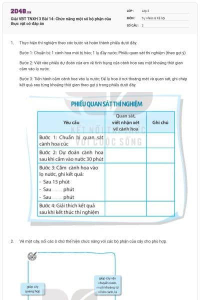 Giải VBT TNXH 3 Bài 14: Chức năng một số bộ phận của thực vật có đáp án