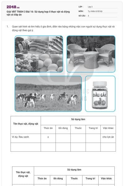 Giải VBT TNXH 3 Bài 16: Sử dụng hợp lí thực vật và động vật có đáp án