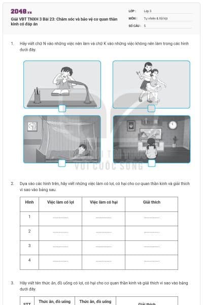 Giải VBT TNXH 3 Bài 23: Chăm sóc và bảo vệ cơ quan thần kinh có đáp án