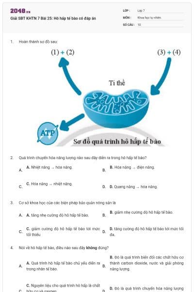 Giải SBT KHTN 7 Bài 25: Hô hấp tế bào có đáp án