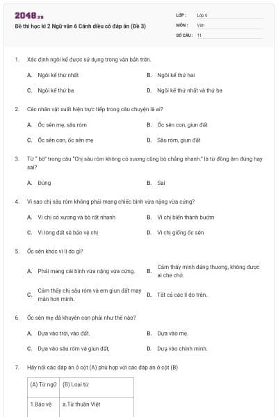 Đề thi học kì 2 Ngữ văn 6 Cánh diều có đáp án (Đề 3)