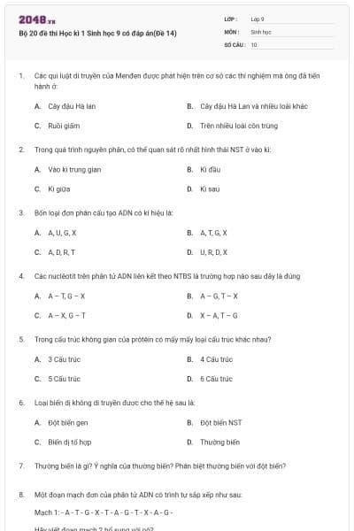 Bộ 20 đề thi Học kì 1 Sinh học 9 có đáp án(Đề 14)