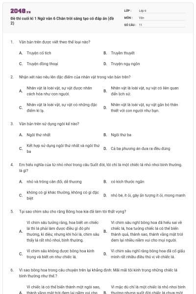 Đề thi cuối kì 1 Ngữ văn 6 Chân trời sáng tạo có đáp án (đề 2)