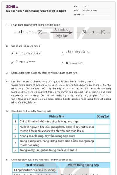 Giải SBT KHTN 7 Bài 22: Quang hợp ở thực vật có đáp án