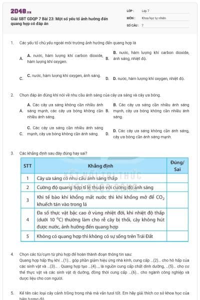 Giải SBT GDQP 7 Bài 23: Một số yếu tố ảnh hưởng đến quang hợp có đáp án