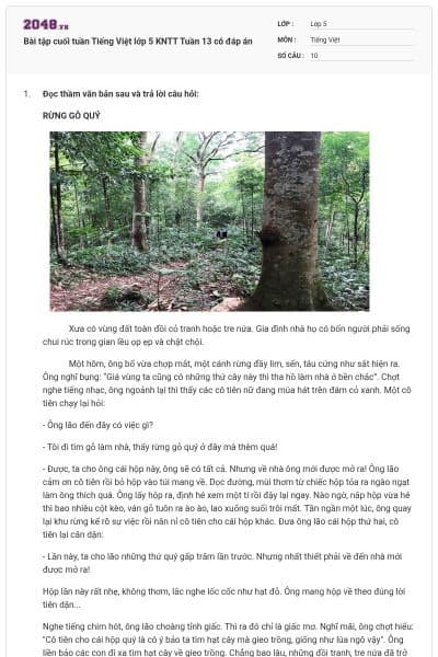 Bài tập cuối tuần Tiếng Việt lớp 5 KNTT Tuần 13 có đáp án