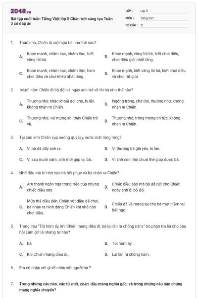 Bài tập cuối tuần Tiếng Việt lớp 5 Chân trời sáng tạo Tuần 3 có đáp án