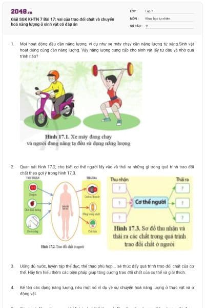 Giải SGK KHTN 7 Bài 17: vai của trao đổi chất và chuyển hoá năng lượng ở sinh vật có đáp án
